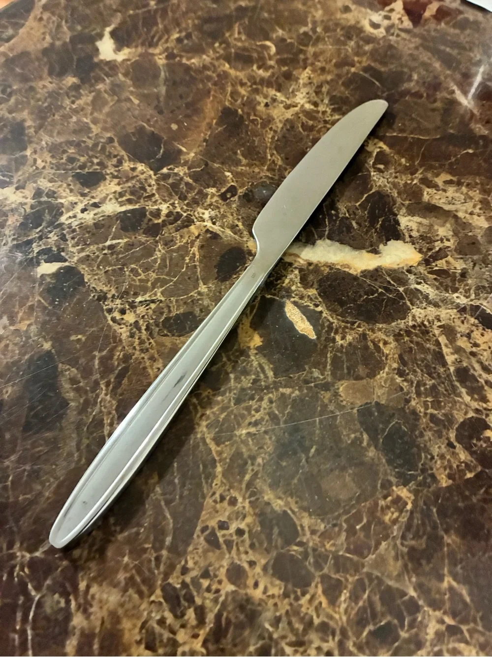 Stainless Steel Satin Handle Dinner Knife and Dinner Fork Cambridge